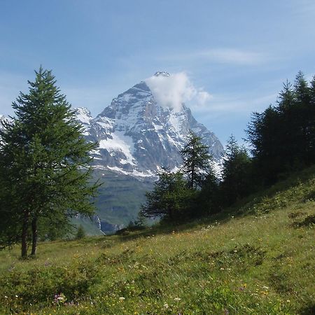 B&B A Pankeo Valtournenche Exteriör bild