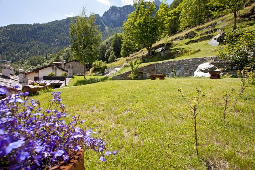 B&B A Pankeo Valtournenche Exteriör bild