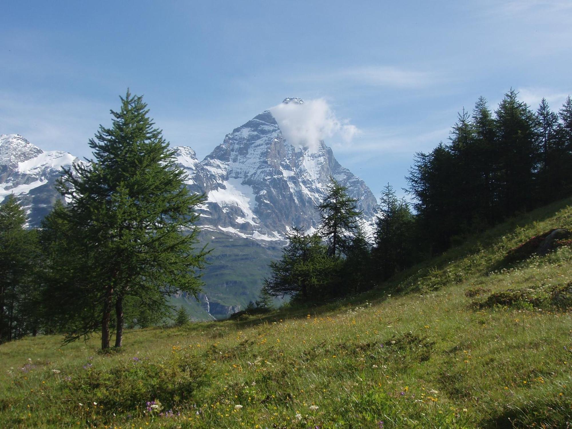 B&B A Pankeo Valtournenche Exteriör bild